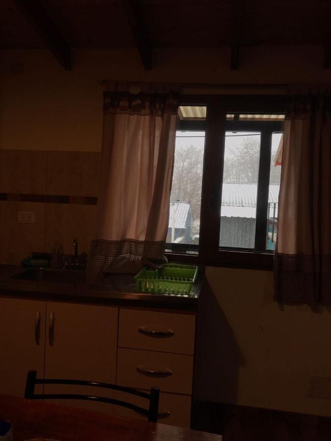 Departamento Akainik Apartment Ushuaia Bagian luar foto